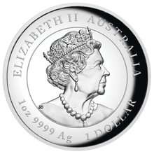 Load image into Gallery viewer, AUSTRALIAN 2023 Lunar Year of the Rabbit 1oz $1 Silver HIGH RELIEF COIN Series3