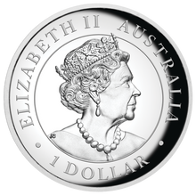 Load image into Gallery viewer, 2020 First Australia Kangaroo 1oz $1 Silver Proof Colored High Relief Coin