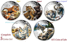 Load image into Gallery viewer, 5-coin set 2016 Cubs Tiger Jaguar Snow Leopard White lion Lynx Silver 2.5 oz