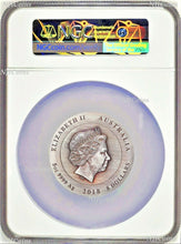 Load image into Gallery viewer, Rare Earth 2018 5oz Silver High Relief Patina golden diamond $8 Coin NGC MS69 FR