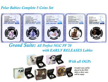 Load image into Gallery viewer, 5-coin-set 2017 PROOF Silver Polar Babies Bear Fox PENGUIN Seal Otta NGC PF70 ER