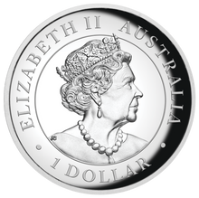 Load image into Gallery viewer, 2019 P Australia HIGH RELIEF 1oz Silver Kangaroo $1 Coin NGC PF70 FR Blu Label