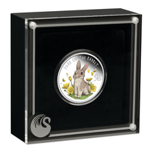 Load image into Gallery viewer, 2023 BABY Rabbit 1/2oz .9999 Silver Proof Half Dollar Coin Lunar Year Tuvalu