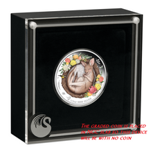 Load image into Gallery viewer, 2021 TUVALU Dreaming Down Under – Koala Silver Proof NGC PF 70 1/2oz Coin FR