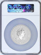 Load image into Gallery viewer, 2023 Australia Silver Colorized Lunar Year of the RABBIT 5oz $8 Coin NGC MS70 FR