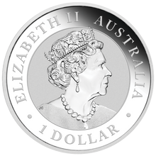 Load image into Gallery viewer, 2022 ANDA PERTH Expo Special Kookaburra 1oz $1 Silver Coin w/ Numbat PRIVY MARK