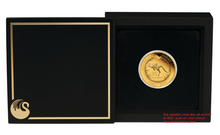 Load image into Gallery viewer, MINT ERROR 2021 Australian 35th Ann Kangaroo Nugget $25 PF69 1/4oz GOLD Coin