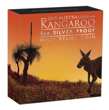 Load image into Gallery viewer, 500 Mintage 2019 P Australia HIGH RELIEF 5oz Silver Kangaroo $8 Coin NGC PF70 ER