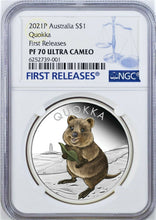 Load image into Gallery viewer, 2021 Australia Quokka Silver Colored Proof NGC PF70 Ultra Cameo 1oz $1 Coin FR