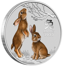 Load image into Gallery viewer, 2023 SYDNEY MONEY EXPO SHOW SPECIAL YEAR OF THE Rabbit 1/4oz SILVER COLORED COIN