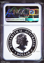 Load image into Gallery viewer, 2019 P Australia GILDED Silver Kangaroo NGC MS70 1oz Coin w/OGP gilt FR BL LABEL