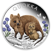 Load image into Gallery viewer, 2022 Australia Quokka 1oz .9999 Silver Proof Colored Coin
