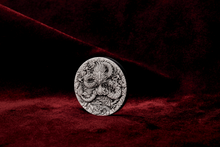 Load image into Gallery viewer, 2024 Year of the Dragon 2oz .9999 SILVER $2 Lunar ANTIQUED COIN "P125"