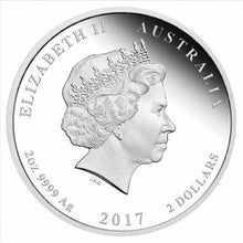 Load image into Gallery viewer, 2017 ANDA EXPO PROOF Colored Silver Lunar Year of the Rooster NGC PF70 2oz Coin