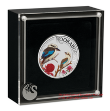 Load image into Gallery viewer, 2023 Berlin Show WMF Australia Kookaburra Silver NGC MS70 1oz $1 Coin FR Blue LB