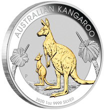 Load image into Gallery viewer, Australian Gilt Gilded 2020 Kangaroo Proof Silver 1 oz Dollar $1 Coin Australia