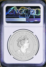 Load image into Gallery viewer, 2022 Australia Colored Bullion Silver Lunar Year of Tiger NGC MS70 1oz $1 Coin