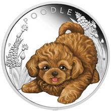 Load image into Gallery viewer, 2018 Puppies - POODLE Tuvalu 1/2 oz Silver Proof Half Dollar Coin Colorized