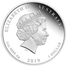 Load image into Gallery viewer, 2019 Australia Colored PROOF Silver Lunar Year of the PIG NGC PF70 1oz $1 Coin