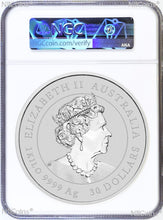 Load image into Gallery viewer, 2023 Lunar Year of the RABBIT COLORED Kilo Silver $30 Coin NGC MS69 1st Releases