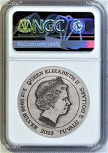 Load image into Gallery viewer, 2023 The Phantom 2oz Silver Antiqued Colored $2 Coin NGC MS 70 First Releases