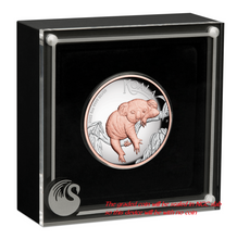 Load image into Gallery viewer, 2022 Australia Pink Gold GILT HIGH RELIEF 5oz Silver Koala $8 Coin NGC PF70 FR