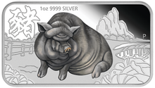 Load image into Gallery viewer, 47877350
