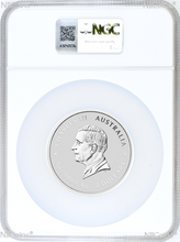 Load image into Gallery viewer, 45988742
