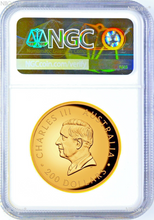 Load image into Gallery viewer, 2024 Australian High Relief Proof Kangaroo $200 NGC PF70 .9999 2oz GOLD Coin FR
