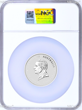 Load image into Gallery viewer, 44862590
