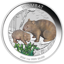 Load image into Gallery viewer, 2024 Wombat 1oz .9999 Silver $1 Colored Coin in mint card
