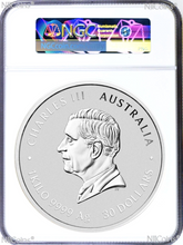 Load image into Gallery viewer, 46251491
