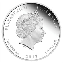 Load image into Gallery viewer, 47877452
