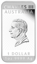 Load image into Gallery viewer, 47722804
