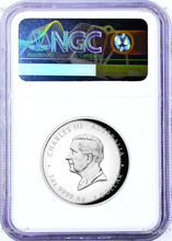 Load image into Gallery viewer, 46916973
