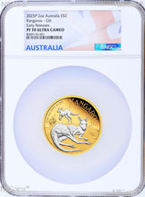 Load image into Gallery viewer, 44631901
