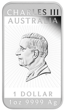 Load image into Gallery viewer, 45339157
