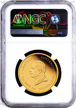 Load image into Gallery viewer, 45980699
