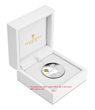 Load image into Gallery viewer, 47005603
