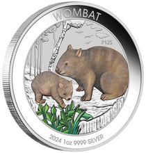 Load image into Gallery viewer, 2024 Wombat 1oz .9999 Silver $1 Colored Coin in mint card
