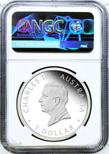 Load image into Gallery viewer, 47005603
