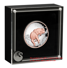 Load image into Gallery viewer, 2022 Australia Pink Gold GILT HIGH RELIEF 5oz Silver Koala $8 Coin NGC PF70 ER
