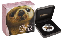 Load image into Gallery viewer, Complete 5-Coin set 2017 Polar Babies 2.5 oz Silver Proof 50c Half Dollar
