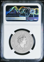 Load image into Gallery viewer, 2022P Australia Bullion PLATINUM $100 Lunar Year of the Rabbit NGC MS70 1oz Coin
