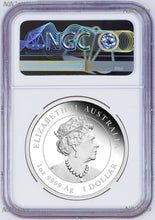 Load image into Gallery viewer, 2023 Australia PROOF Colored Silver Lunar Year of the RABBIT NGC PF70 1oz Coin F
