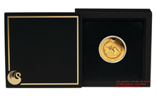 Load image into Gallery viewer, 2021 Australian 35th Ann. Kangaroo Nugget $25 NGC PF70 .9999 1/4oz GOLD Coin ER
