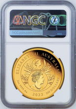 Load image into Gallery viewer, 2022 QUEEN ELIZABETH PLATINUM JUBILEE 2oz .9999 GOLD $200 Proof coin NGC PF70 ER
