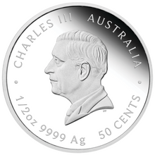 Load image into Gallery viewer, 2024 NEWBORN BABY 1/2oz Silver Proof 50c Coin Colorized King Charles III Effigy
