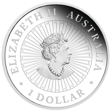 Load image into Gallery viewer, Australian 2021 1oz Silver Proof $1 MOTHER OF PEARL Coin Great Southern Land
