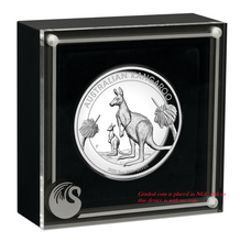 Load image into Gallery viewer, 500 Mintage 2020 P Australia HIGH RELIEF 5oz Silver Kangaroo $8 Coin NGC PF70 FR
